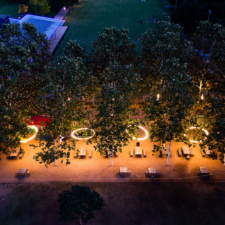 discovery green rings